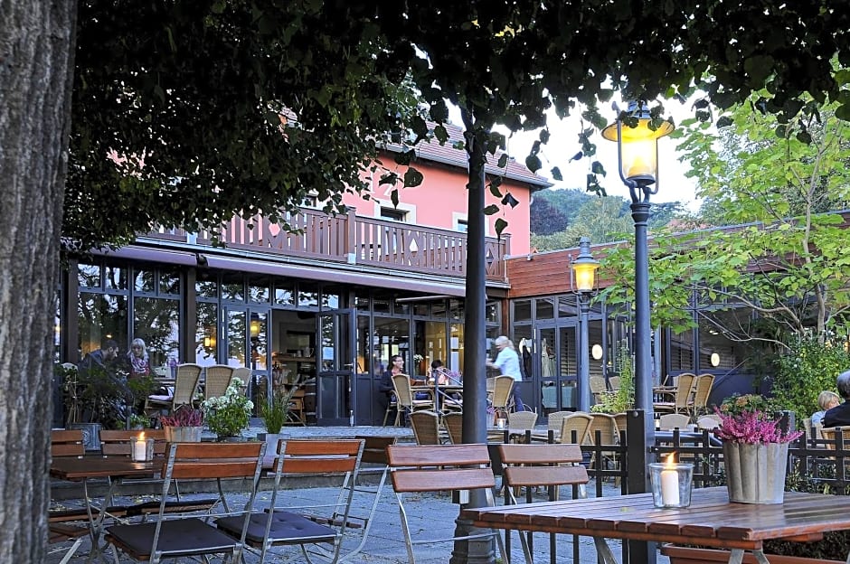 Elbterrasse Wachwitz