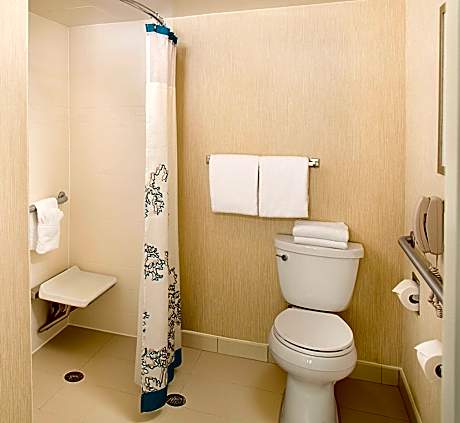 Studio, 1 Queen Bed with Sofa bed (1 Queen Bed and 1 Double Sofa Bed)