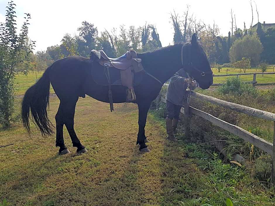 Ostello Molino Di Basso