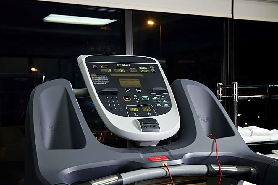 Wingate by Wyndham Chihuahua