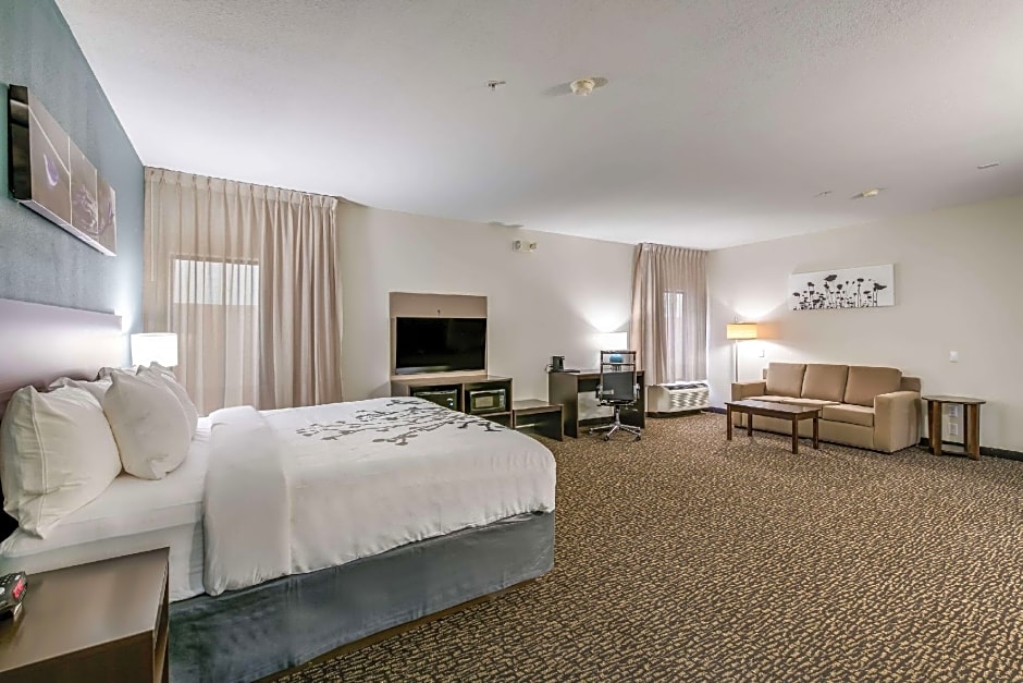 1 King Bed Suite — 3 fotoğraftan 1. fotoğraf