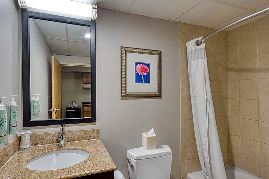 Best Western Owego Inn
