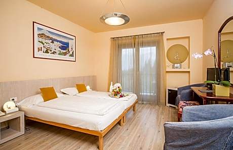 Standard Double or Twin Room with Garden View