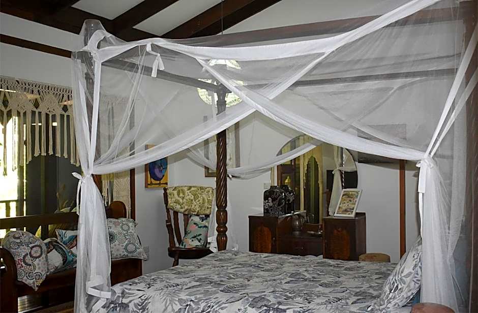 Oskar's Rain Forest Retreat