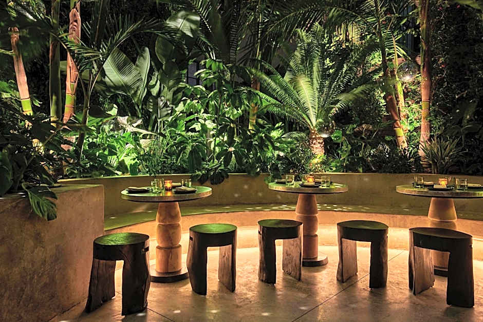 Hollywood Volume, a Tribute Portfolio Hotel