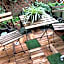 Kanae House