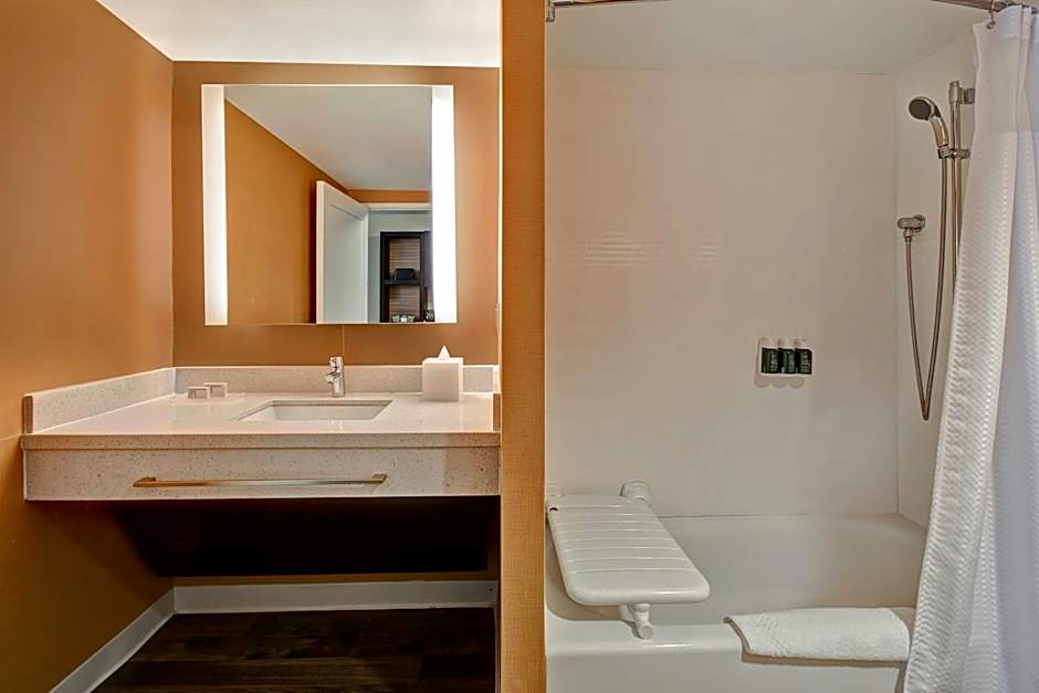 TownePlace Suites by Marriott Las Vegas Airport South