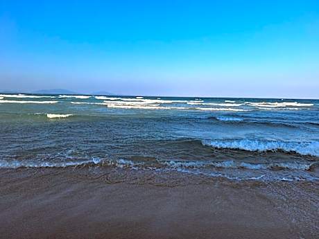 CONDOTEL ARENA SEA VIEW - VG