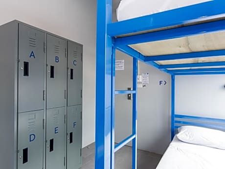 Bunk Bed in 6-Bed Mixed Dormitory Room