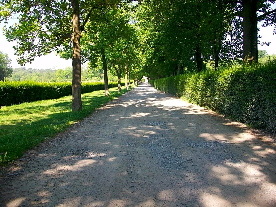 B&B L'Albero Maestro