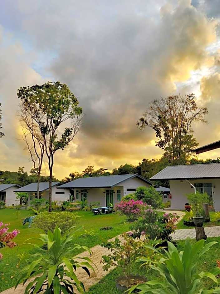 D View Holiday Homes