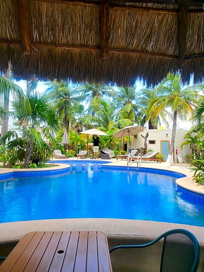 Mayan Mittoz