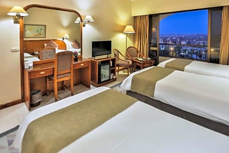 Double or Twin Room with City View