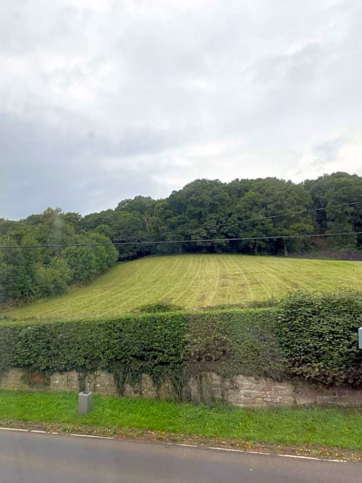 The Bickerton Poacher