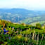 Gasthof Unterberger