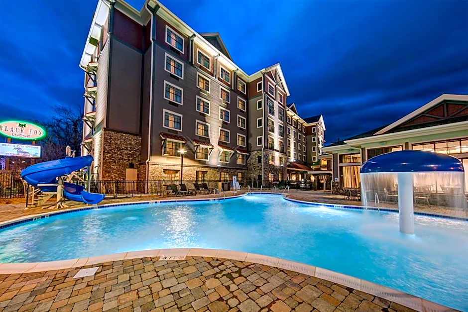 Black Fox Lodge Pigeon Forge, Tapestry Collection by Hilton