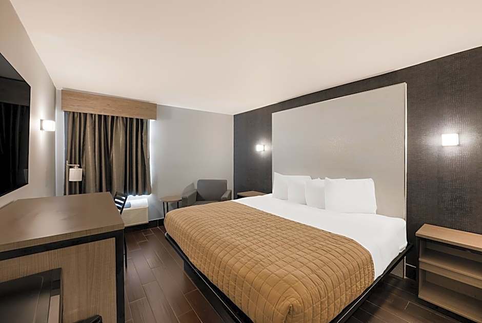 Essence Express Wayne