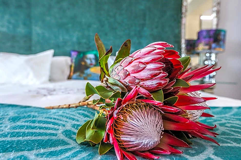 Misty Waves Boutique Hotel