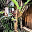 Planeta Banana Paraty