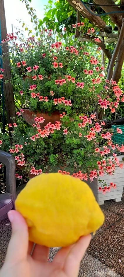 B&B Villa Anna Wunderbar