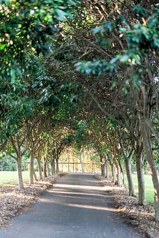 Shambala Estate Cottages