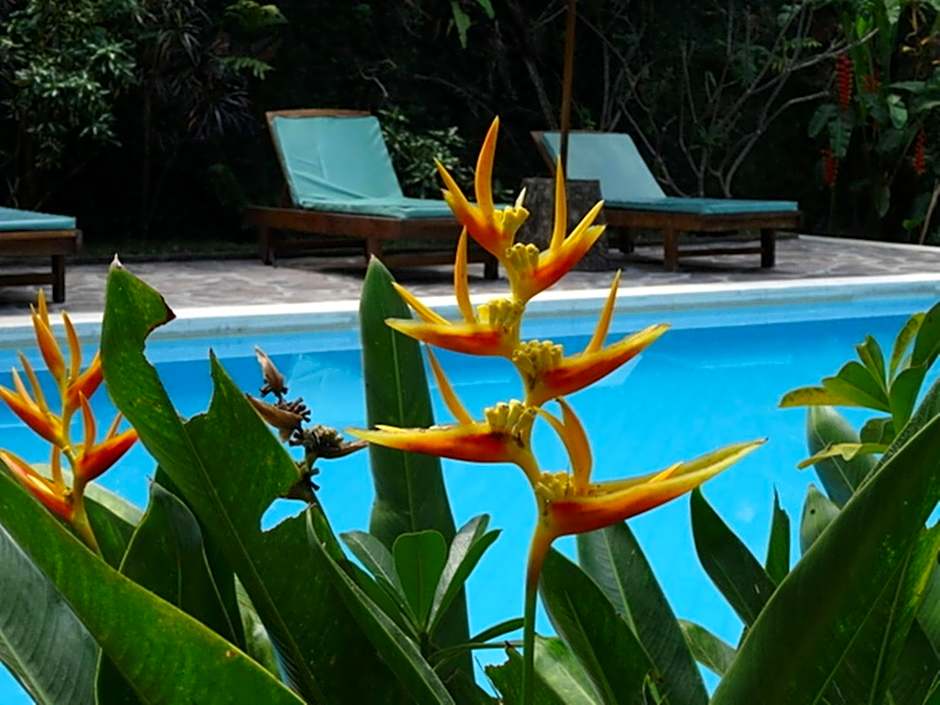 Villa Jati Mangsit
