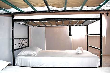 1 Person in 14-Bed Dormitory - Mixed