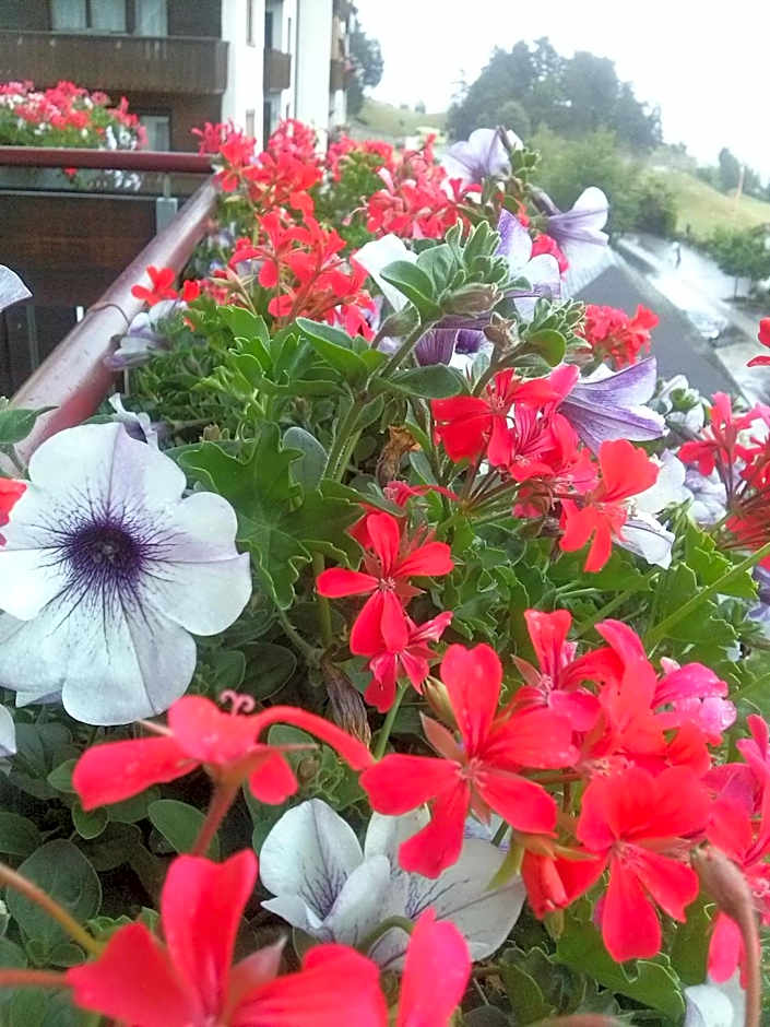 Hotel Alpenruh-Micheluzzi