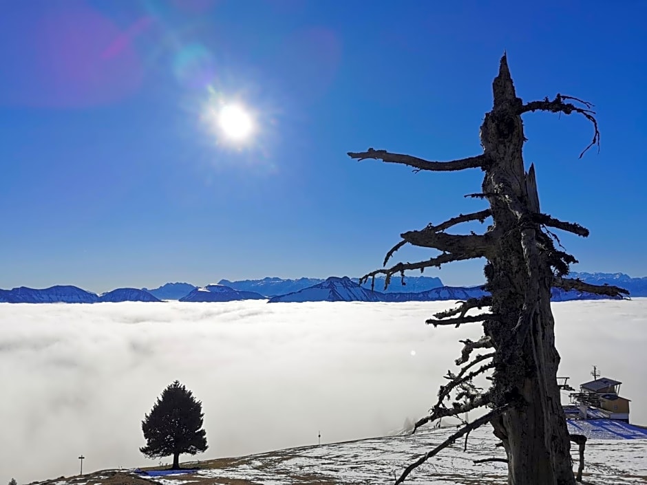 Schnaitstadl-Alm Selbstversorgerhütte