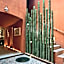 Casa Carmen Reforma