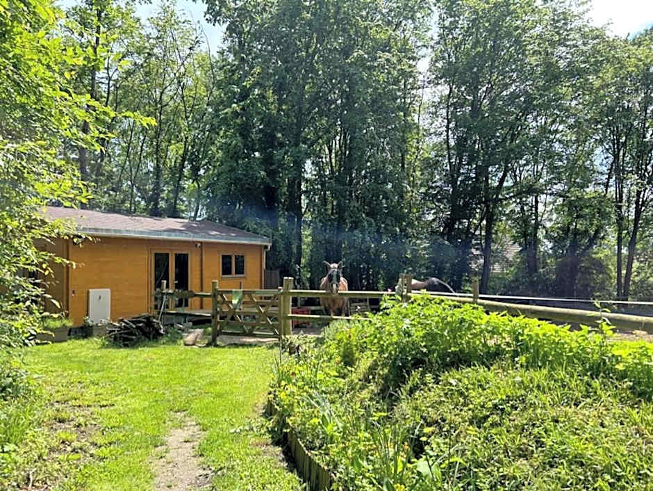 GITES du BOIS des PERRUCHES