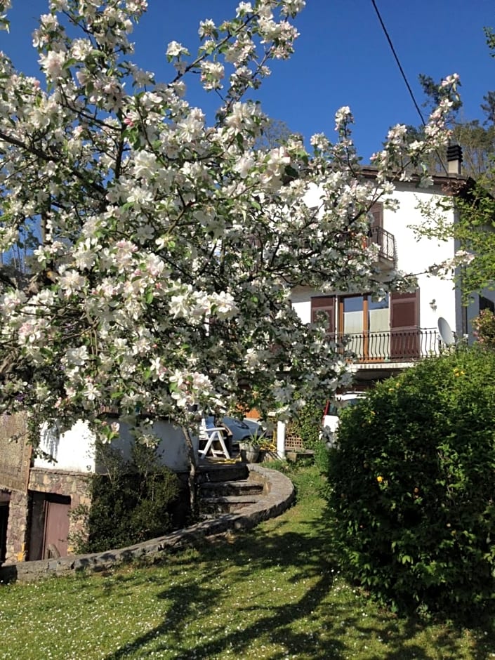 Il Ghiro B&B