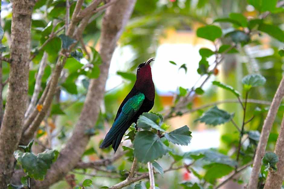 Residence Les Cayalines