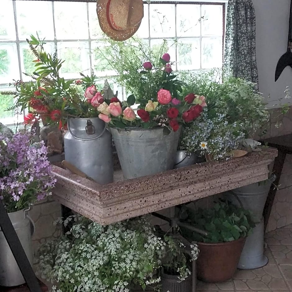 B&B SCACCIA PENSIERI