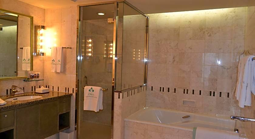 Okura Akademia Park Hotel