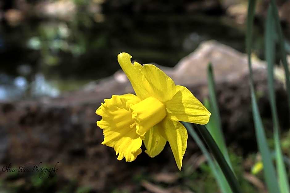 Tomah Retreat - Studio BREATHE with fireplace