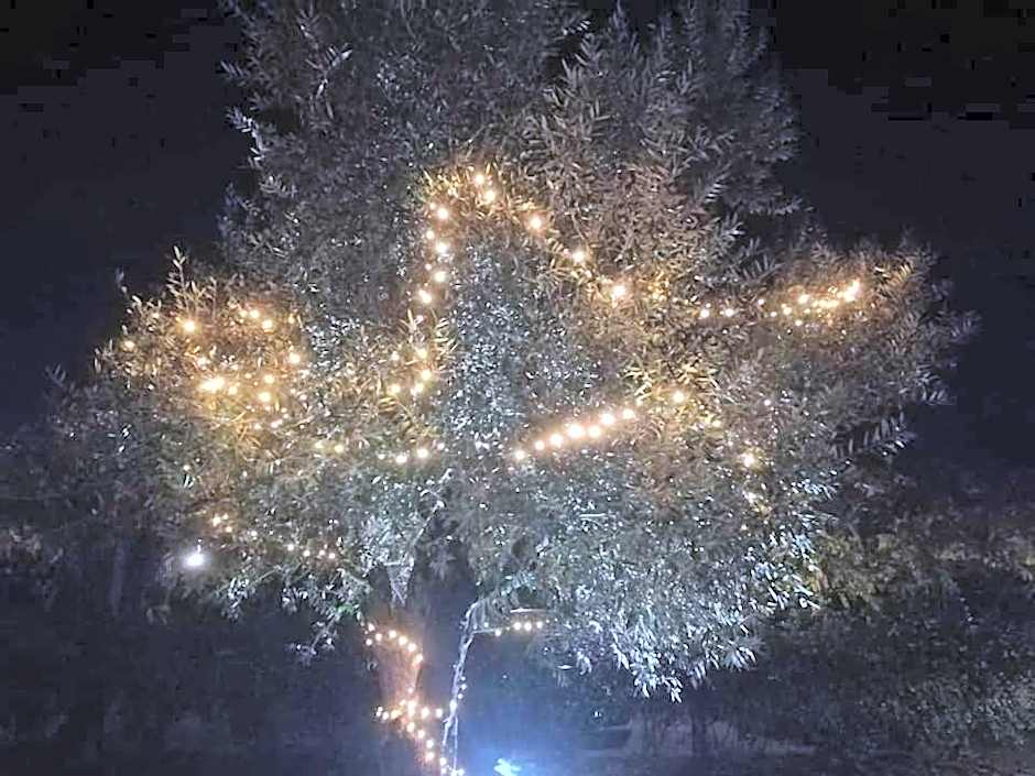 Cascina Borgofrancone