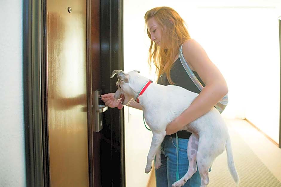 Plaza São Rafael Hotel