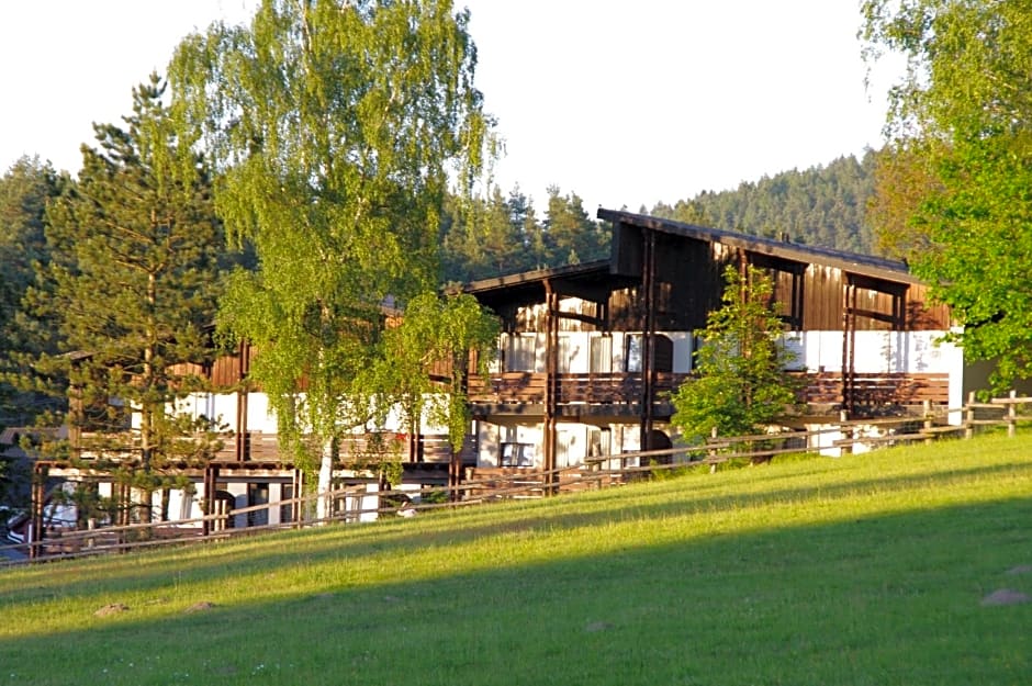 Waldhotel Bächlein