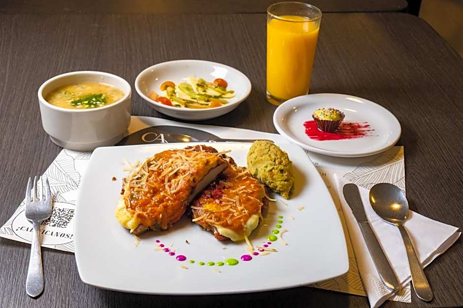 Hotel Virrey Central