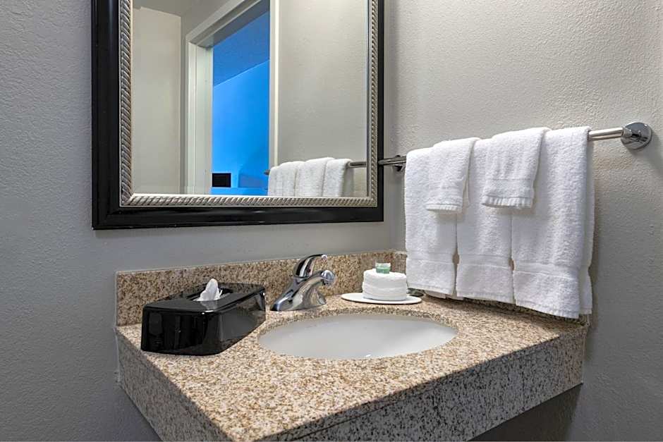 Courtyard by Marriott Dallas Arlington/Entertainment District
