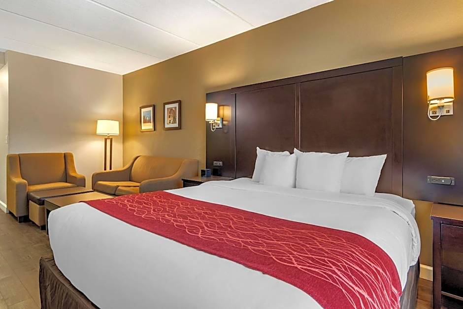 Comfort Inn & Suites Lithia Springs