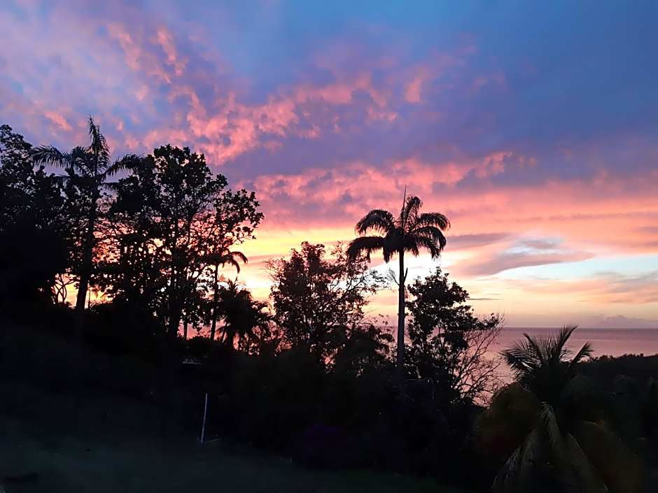 Domaine Choco Vanille