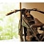 Takanokono Hotel - Vacation STAY 85401