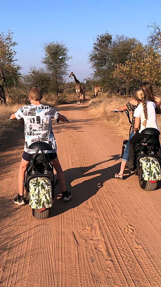 Lindiwe Safari Lodge