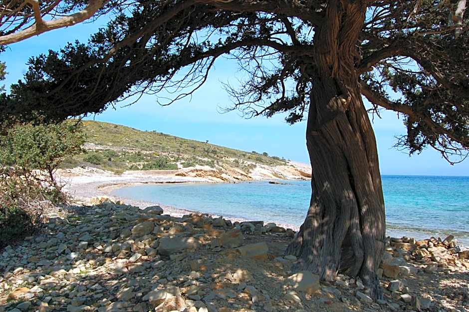 Calypso Hotel