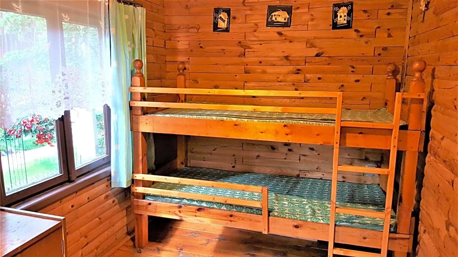 BORY TUCHOLSKIE SKÓRZENNO KO¿O OSIEKA