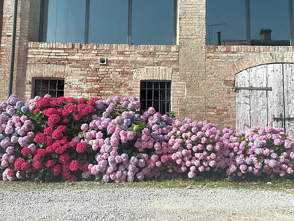 B&B Il Conte Giacomo