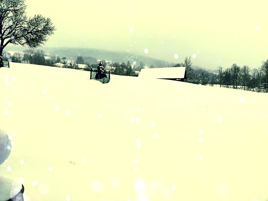 Pokoje goscinne u Olguni