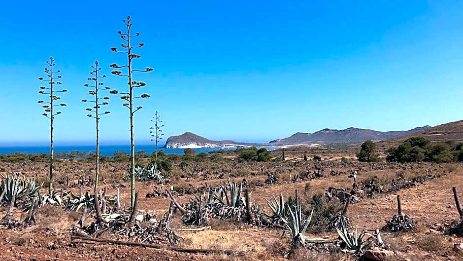 CASABAH bed & breakfast